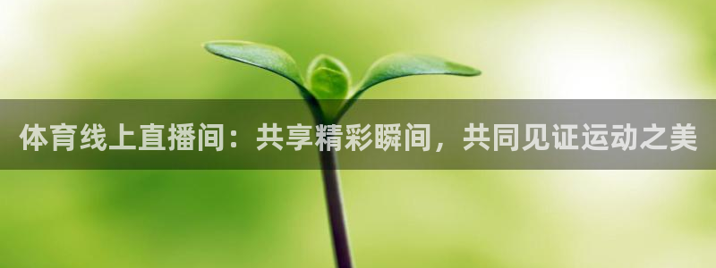 劲爆体育视频直播：体育线上直播间：共享精彩瞬间，共同见证运动之美
