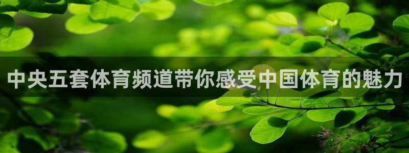 f1直播 劲爆体育：中央五套体育频道带你感受中国体育的魅力